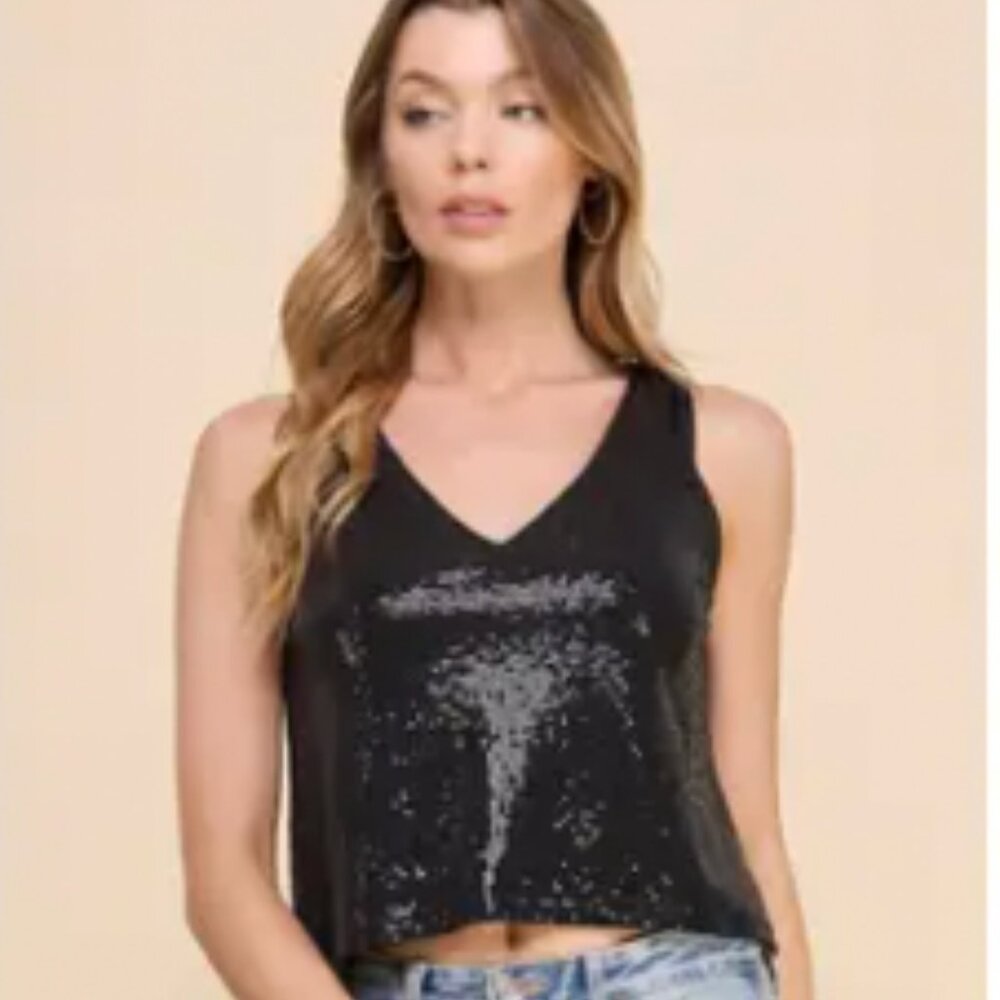 Shining Star Sequin Top Black